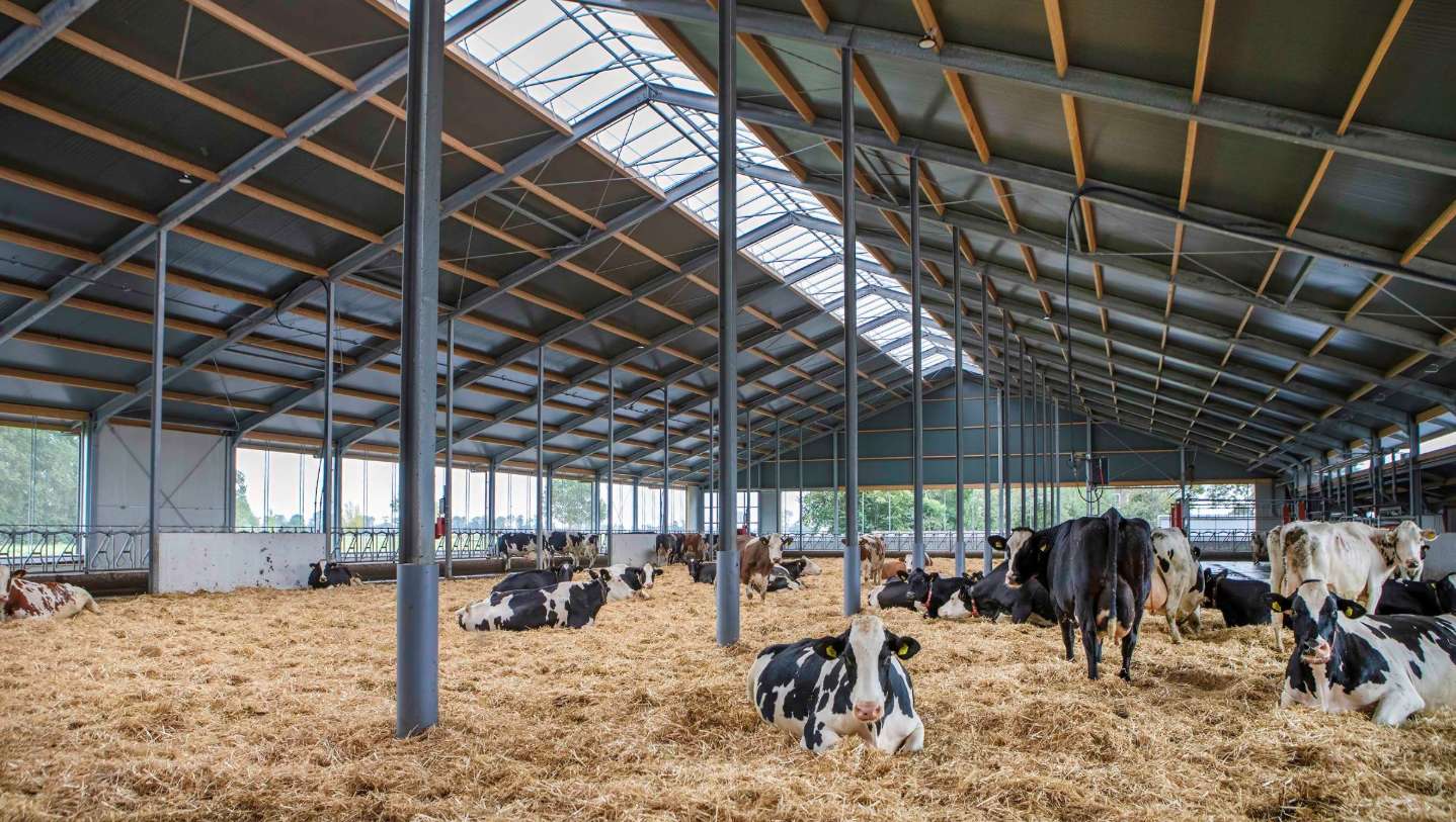 Stal in Molenaarsgraaf