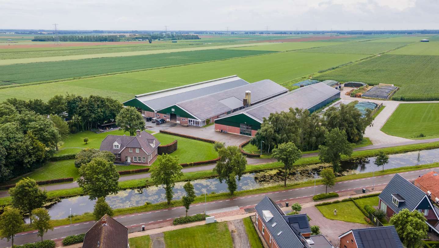 Van Stiphout in Nieuwe Pekela
