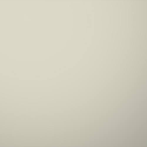 FALK HDP 50 μm - RAL 9002