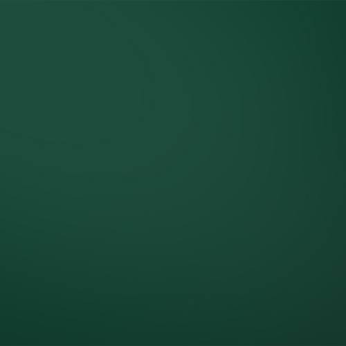 FALK Standard 25 μm - RAL 6005