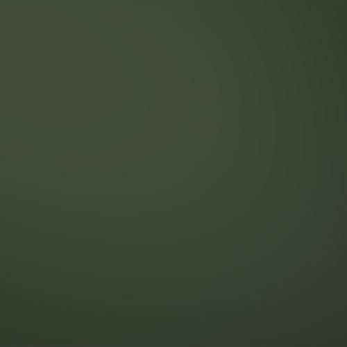 FALK Standard 25 μm - RAL 6020