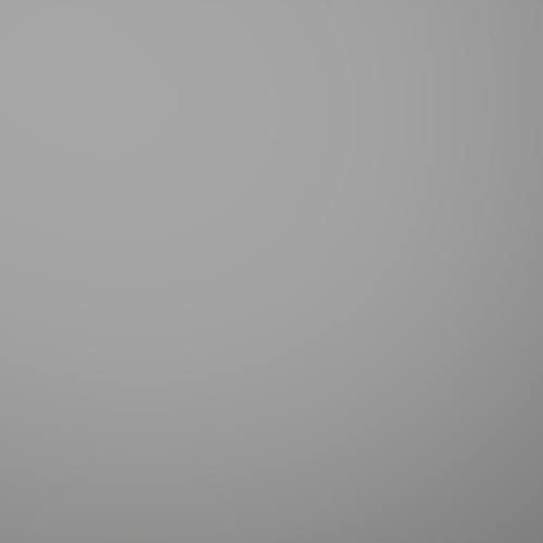 FALK Standard 25 μm - RAL 9006