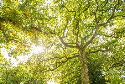 Nieuwe RC-waarden volgens BENG bepalingsmethode