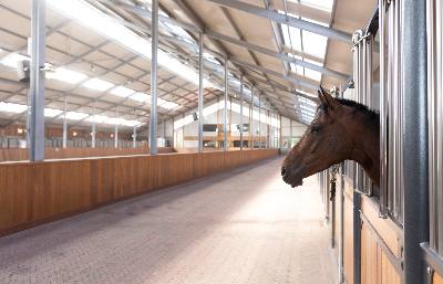 FALK 1000 TR Rooflight 