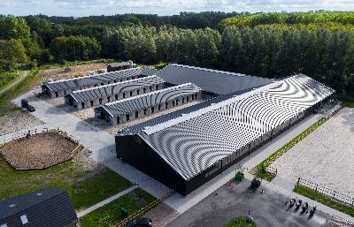 FALK SPAG and SPAN profiles