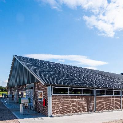 Rosékalverstal Ermelo