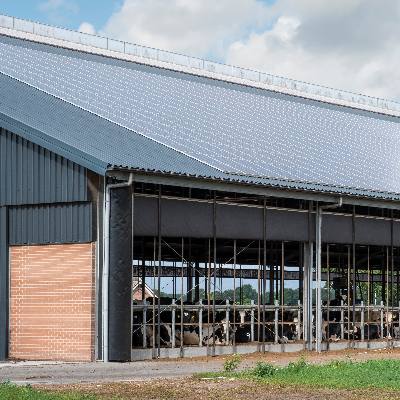 Koeienstal Heemserveen