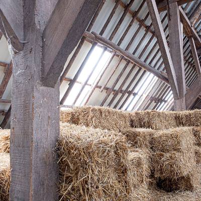 Friese Stelpboerderij