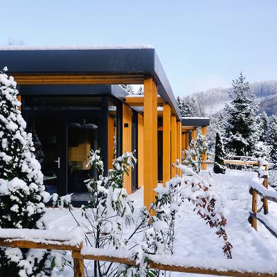 Recreatiewoningen Niedersfeld