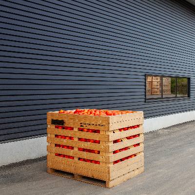 De Terp Squashpackers 