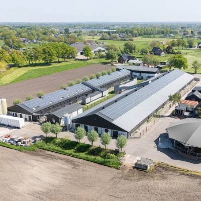 Pluimveehouderij Beek in Barneveld 