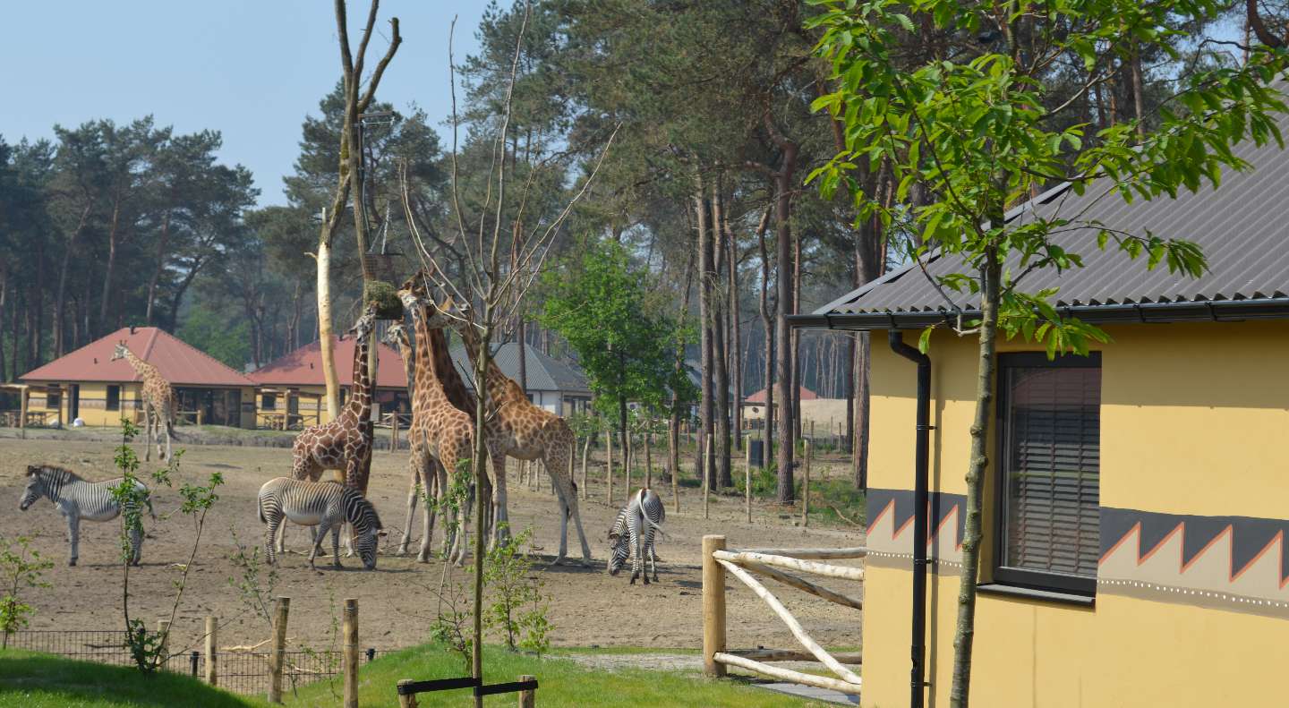 Safari Resort Beekse Bergen